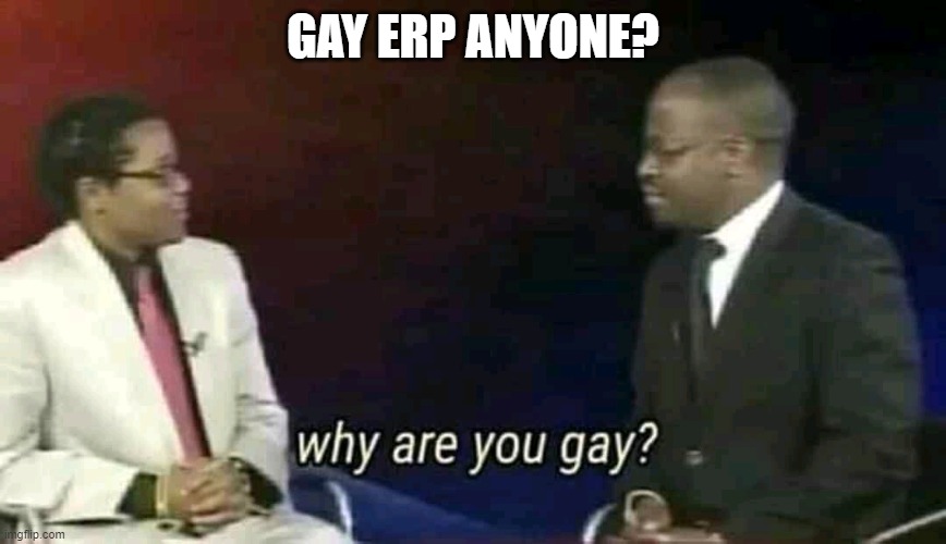 Why are you gay? | GAY ERP ANYONE? | image tagged in why are you gay | made w/ Imgflip meme maker