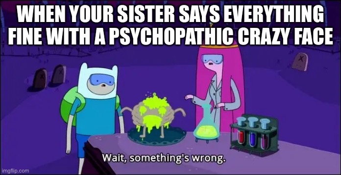 WHEN YOUR SISTER SAYS EVERYTHING FINE WITH A PSYCHOPATHIC CRAZY FACE | image tagged in meme | made w/ Imgflip meme maker