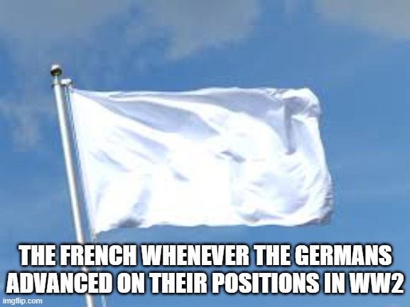 surrender | THE FRENCH WHENEVER THE GERMANS ADVANCED ON THEIR POSITIONS IN WW2 | image tagged in surrender | made w/ Imgflip meme maker