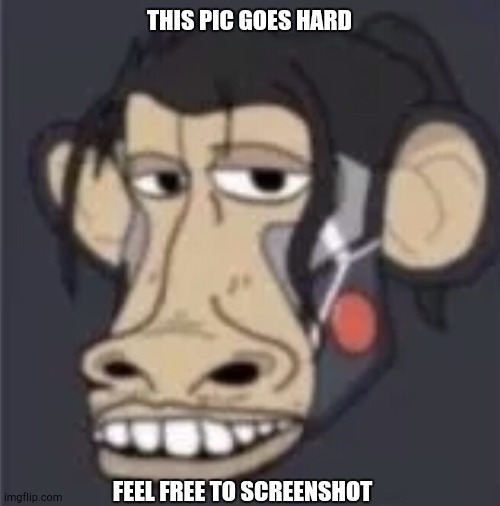 THIS PIC GOES HARD; FEEL FREE TO SCREENSHOT | made w/ Imgflip meme maker