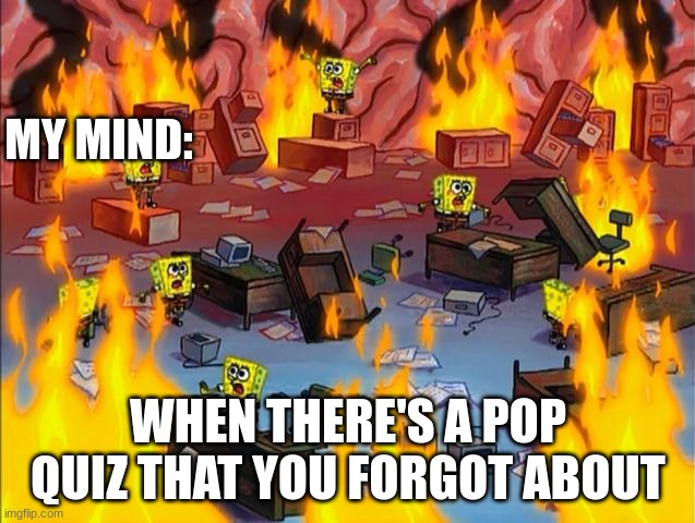 spongebob fire | MY MIND:; WHEN THERE'S A POP QUIZ THAT YOU FORGOT ABOUT | image tagged in spongebob fire | made w/ Imgflip meme maker