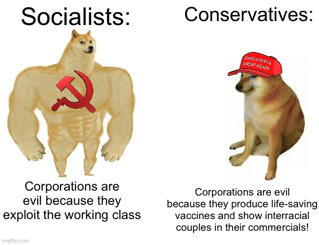 We are not the same. | Socialists:; Conservatives:; Corporations are evil because they exploit the working class; Corporations are evil because they produce life-saving vaccines and show interracial couples in their commercials! | image tagged in buff doge vs cheems,conservative logic,racism,big pharma,interracial couple,socialism | made w/ Imgflip meme maker
