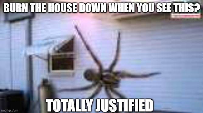 GIANT spider | BURN THE HOUSE DOWN WHEN YOU SEE THIS? TOTALLY JUSTIFIED | image tagged in giant spider | made w/ Imgflip meme maker