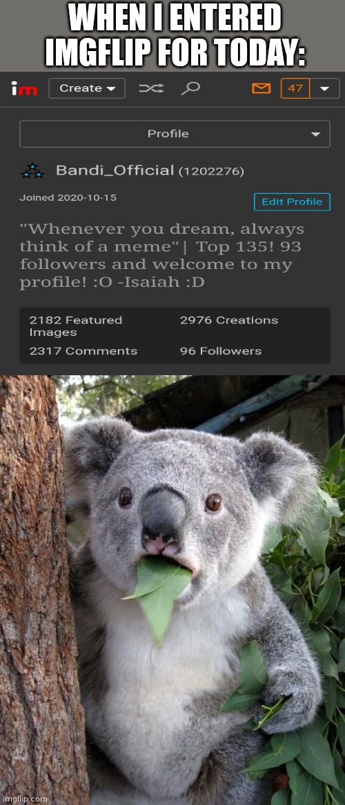 Oh my gosh :O |  WHEN I ENTERED IMGFLIP FOR TODAY: | image tagged in memes,surprised koala | made w/ Imgflip meme maker