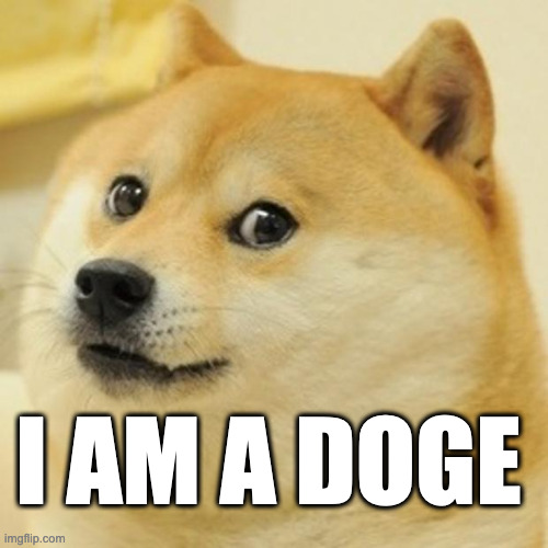 DOGE | I AM A DOGE | image tagged in memes,doge | made w/ Imgflip meme maker