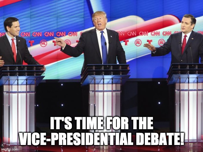 Bowser-official vs HomerD vs warwingslover: three candidates, one winner. | IT'S TIME FOR THE VICE-PRESIDENTIAL DEBATE! | image tagged in republican debate gop | made w/ Imgflip meme maker