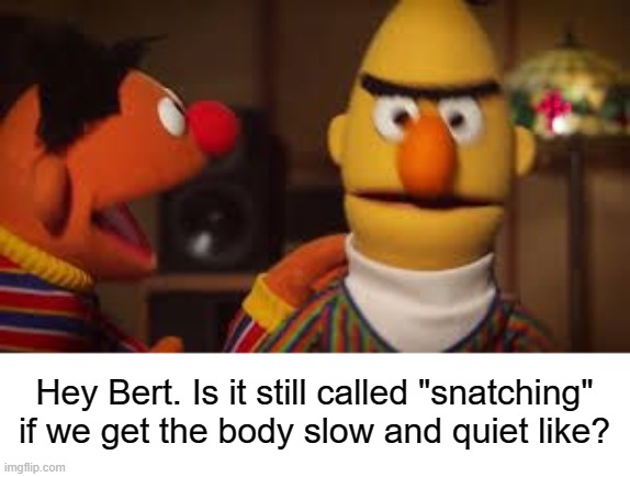Bert and Ernie  | Hey Bert. Is it still called "snatching" if we get the body slow and quiet like? | image tagged in bert and ernie | made w/ Imgflip meme maker