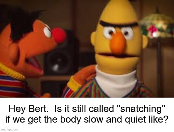 Ernie With the Questions Again | Hey Bert.  Is it still called "snatching" if we get the body slow and quiet like? | image tagged in bert and ernie,yayaya | made w/ Imgflip meme maker