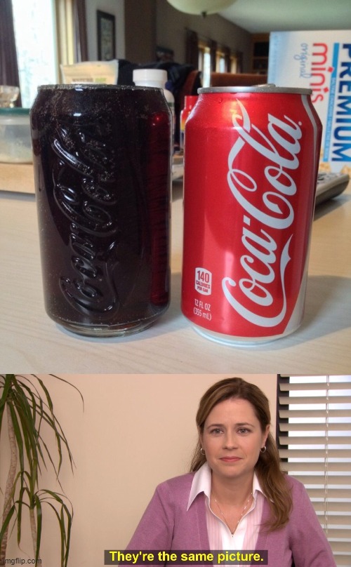 image tagged in memes,they're the same picture | made w/ Imgflip meme maker