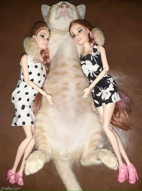 lil man got some hoes | made w/ Imgflip meme maker