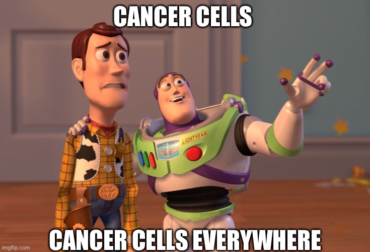 Cancer cells multiplying | CANCER CELLS; CANCER CELLS EVERYWHERE | image tagged in memes,x x everywhere,cancer,cells | made w/ Imgflip meme maker