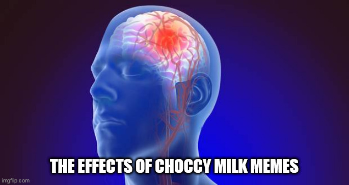 brain | THE EFFECTS OF CHOCCY MILK MEMES | image tagged in brain | made w/ Imgflip meme maker