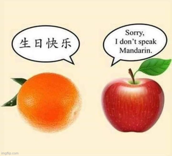 What is the orange saying? Just curious. | image tagged in funny memes,bad jokes,eyeroll | made w/ Imgflip meme maker