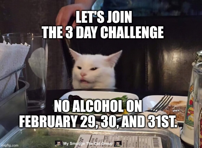  LET'S JOIN THE 3 DAY CHALLENGE; NO ALCOHOL ON FEBRUARY 29, 30, AND 31ST. | image tagged in smudge the cat | made w/ Imgflip meme maker
