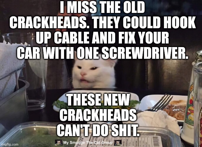 I MISS THE OLD CRACKHEADS. THEY COULD HOOK UP CABLE AND FIX YOUR CAR WITH ONE SCREWDRIVER. THESE NEW CRACKHEADS CAN'T DO SHIT. | image tagged in smudge the cat | made w/ Imgflip meme maker