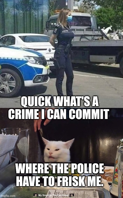 QUICK WHAT'S A CRIME I CAN COMMIT; WHERE THE POLICE HAVE TO FRISK ME. | image tagged in smudge the cat | made w/ Imgflip meme maker