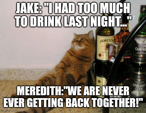 Taylor Swift Drunk Cat | JAKE: "I HAD TOO MUCH TO DRINK LAST NIGHT..."; MEREDITH:"WE ARE NEVER EVER GETTING BACK TOGETHER!" | image tagged in taylor swift drunk cat | made w/ Imgflip meme maker