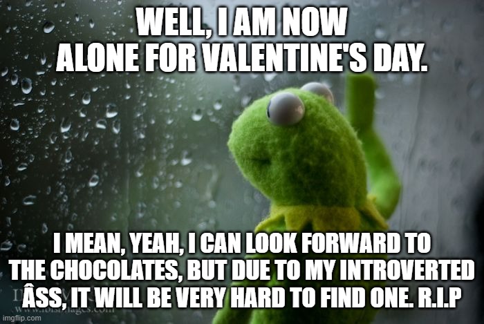 if only i wasn't 85% introverted... wish me luck y'all | WELL, I AM NOW ALONE FOR VALENTINE'S DAY. I MEAN, YEAH, I CAN LOOK FORWARD TO THE CHOCOLATES, BUT DUE TO MY INTROVERTED ÂSS, IT WILL BE VERY HARD TO FIND ONE. R.I.P | image tagged in kermit window | made w/ Imgflip meme maker