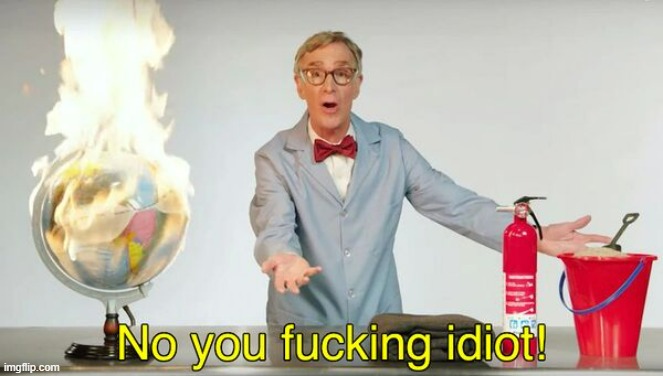 No you f*cking idiot! | image tagged in no you f cking idiot | made w/ Imgflip meme maker