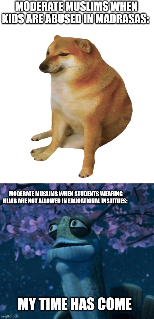 Moderate Muslims | MODERATE MUSLIMS WHEN KIDS ARE ABUSED IN MADRASAS:; MODERATE MUSLIMS WHEN STUDENTS WEARING HIJAB ARE NOT ALLOWED IN EDUCATIONAL INSTITUES:; MY TIME HAS COME | image tagged in cheems,oogway | made w/ Imgflip meme maker