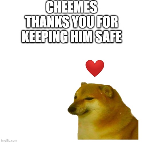 CHEEMES THANKS YOU FOR KEEPING HIM SAFE | made w/ Imgflip meme maker