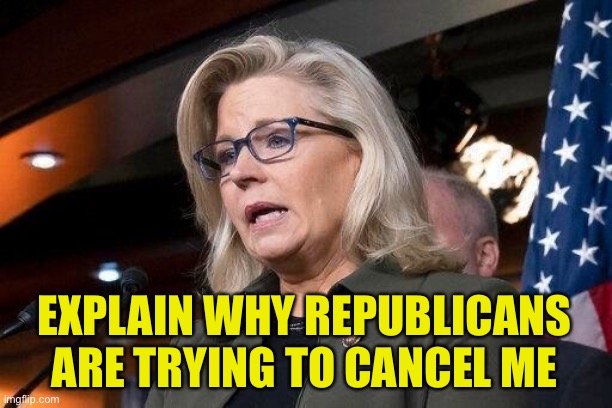 Liz Cheney | EXPLAIN WHY REPUBLICANS ARE TRYING TO CANCEL ME | image tagged in liz cheney | made w/ Imgflip meme maker