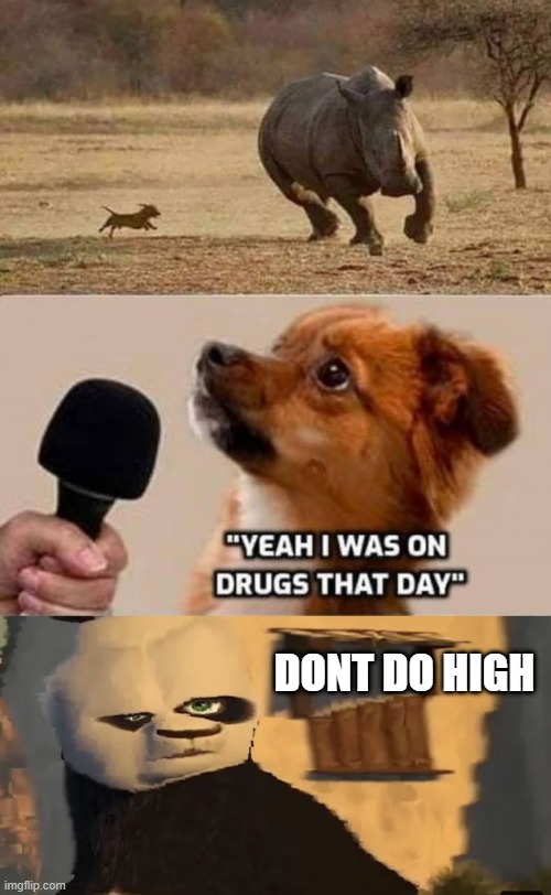 ummm |  DONT DO HIGH | image tagged in distorted po,memes,funny,lol,not funny | made w/ Imgflip meme maker