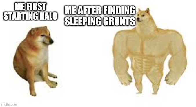 Sleeping Grunts | ME AFTER FINDING SLEEPING GRUNTS; ME FIRST STARTING HALO | image tagged in doge,halo,gaming,video games,videogames,video game | made w/ Imgflip meme maker