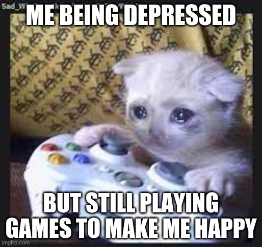 SHeeehs | ME BEING DEPRESSED; BUT STILL PLAYING GAMES TO MAKE ME HAPPY | image tagged in memes | made w/ Imgflip meme maker