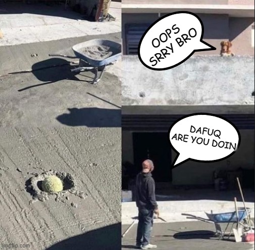 srry xD | OOPS SRRY BRO; DAFUQ ARE YOU DOIN | image tagged in memes,funny,not funny,msmg | made w/ Imgflip meme maker