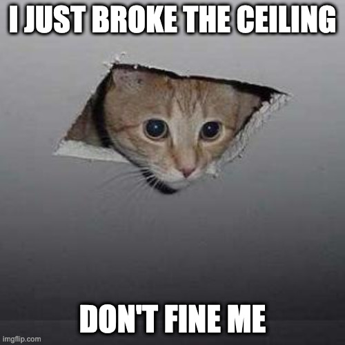 Broken Ceiling | I JUST BROKE THE CEILING; DON'T FINE ME | image tagged in memes,ceiling cat | made w/ Imgflip meme maker
