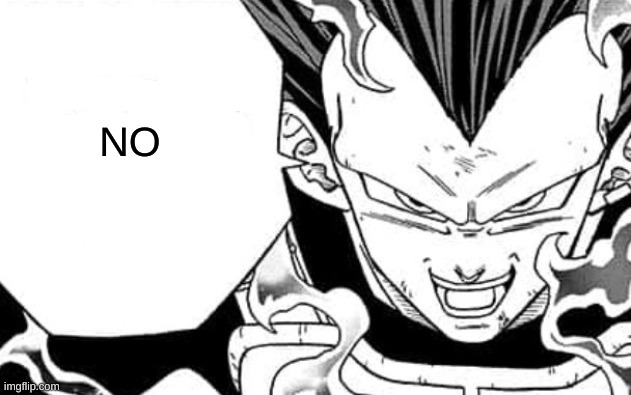 NO | made w/ Imgflip meme maker