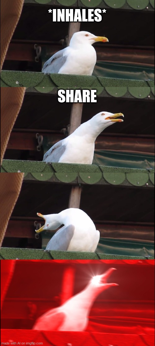 I swear I didn't make this. | *INHALES*; SHARE | image tagged in memes,inhaling seagull | made w/ Imgflip meme maker