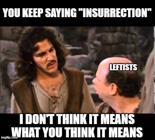 i don't think it means | YOU KEEP SAYING "INSURRECTION" I DON'T THINK IT MEANS WHAT YOU THINK IT MEANS LEFTISTS | image tagged in i don't think it means | made w/ Imgflip meme maker