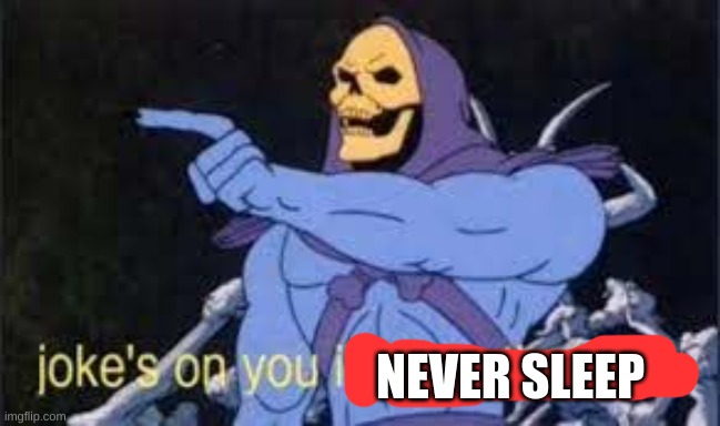 Jokes on you im into that shit | NEVER SLEEP | image tagged in jokes on you im into that shit | made w/ Imgflip meme maker