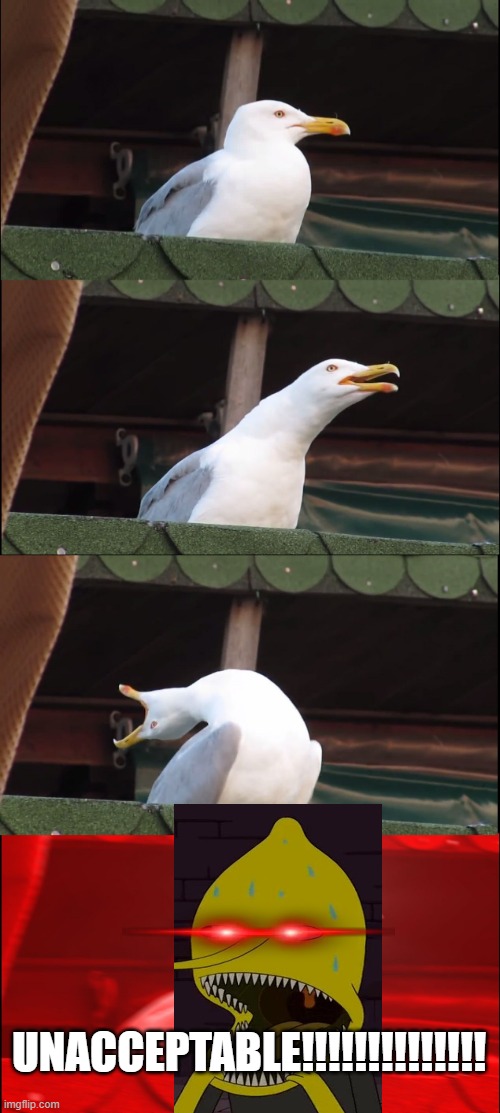 UNNACEPTABLE!!!!!!!!!!!!!! | UNACCEPTABLE!!!!!!!!!!!!!! | image tagged in memes,inhaling seagull | made w/ Imgflip meme maker