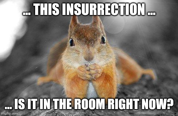 Squirrel therapist | ... THIS INSURRECTION ... ... IS IT IN THE ROOM RIGHT NOW? | image tagged in squirrel therapist | made w/ Imgflip meme maker