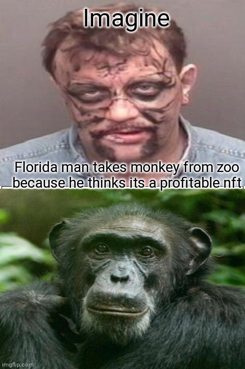 Imagine; Florida man takes monkey from zoo because he thinks its a profitable nft | image tagged in florida man,monkey,nft | made w/ Imgflip meme maker