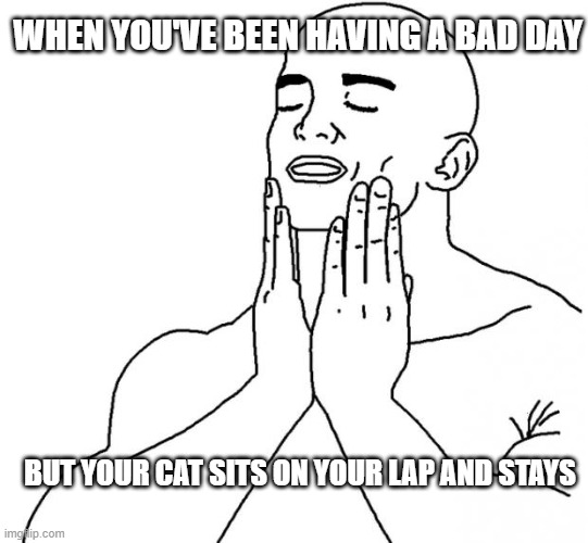 Finally |  WHEN YOU'VE BEEN HAVING A BAD DAY; BUT YOUR CAT SITS ON YOUR LAP AND STAYS | image tagged in feels good man,funny,memes | made w/ Imgflip meme maker