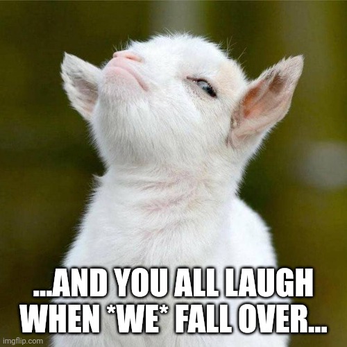 Smug Goat | ...AND YOU ALL LAUGH WHEN *WE* FALL OVER... | image tagged in smug goat | made w/ Imgflip meme maker