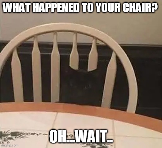 SNEAKY KITTY | WHAT HAPPENED TO YOUR CHAIR? OH...WAIT.. | image tagged in funny cats,cats | made w/ Imgflip meme maker