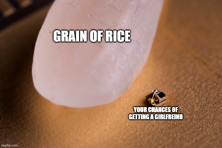 Grain Of Rice | GRAIN OF RICE; YOUR CHANCES OF GETTING A GIRLFREIND | image tagged in grain of rice | made w/ Imgflip meme maker