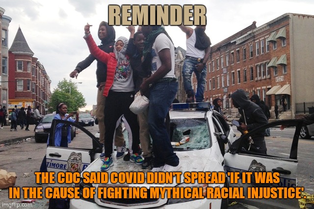 When Democrats wanted riots and destruction, they pretended Covid magically didn't spread. They are LIARS ALL OF THEM | REMINDER; THE CDC SAID COVID DIDN'T SPREAD 'IF IT WAS IN THE CAUSE OF FIGHTING MYTHICAL RACIAL INJUSTICE'. | image tagged in riot | made w/ Imgflip meme maker