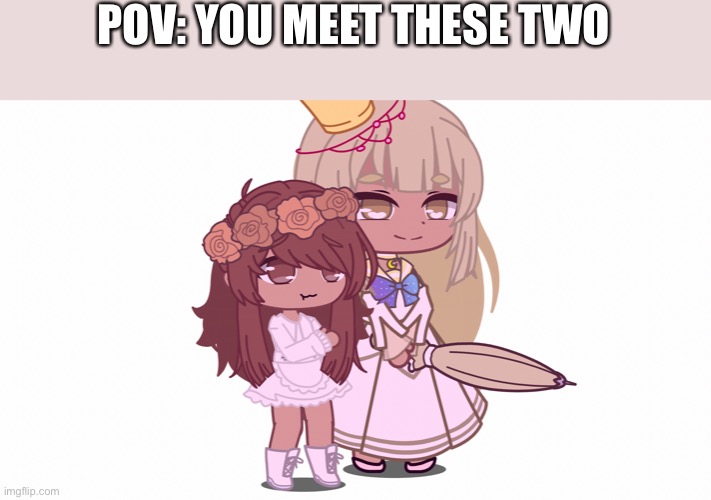 Ah yes my cookie run ocs ( I used gacha coz IDK how to draw ) | POV: YOU MEET THESE TWO | made w/ Imgflip meme maker