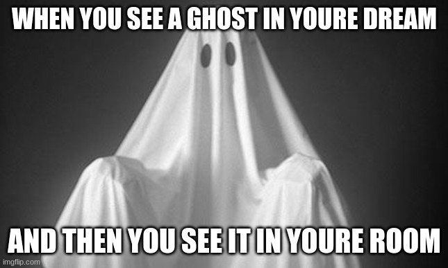 da ghost | WHEN YOU SEE A GHOST IN YOURE DREAM; AND THEN YOU SEE IT IN YOURE ROOM | image tagged in ghost | made w/ Imgflip meme maker