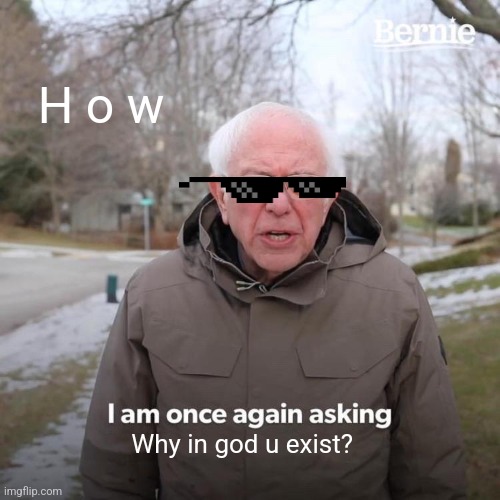 Bernie I Am Once Again Asking For Your Support | H o w; Why in god u exist? | image tagged in memes,bernie i am once again asking for your support | made w/ Imgflip meme maker