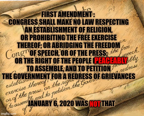 A Bunch Of People Have Decided They'd Rather Be Traitors To The Constitution And Would Rather Live In Prison | FIRST AMENDMENT : 
CONGRESS SHALL MAKE NO LAW RESPECTING AN ESTABLISHMENT OF RELIGION, OR PROHIBITING THE FREE EXERCISE THEREOF; OR ABRIDGING THE FREEDOM OF SPEECH, OR OF THE PRESS; OR THE RIGHT OF THE PEOPLE PEACEABLY TO ASSEMBLE, AND TO PETITION THE GOVERNMENT FOR A REDRESS OF GRIEVANCES; PEACEABLY; JANUARY 6, 2020 WAS NOT THAT; NOT | image tagged in first amendment,memes,trumpublican terrorists,traitors,lock them all up,losers | made w/ Imgflip meme maker