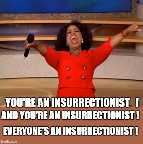 Oprah You Get A Meme | AND YOU'RE AN INSURRECTIONIST ! YOU'RE AN INSURRECTIONIST   ! EVERYONE'S AN INSURRECTIONIST ! | image tagged in memes,oprah you get a | made w/ Imgflip meme maker