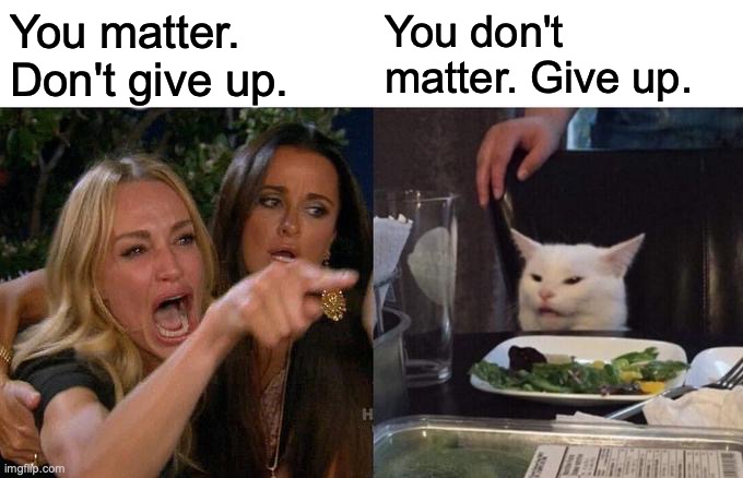 Woman Yelling At Cat Meme | You matter. Don't give up. You don't matter. Give up. | image tagged in memes,woman yelling at cat | made w/ Imgflip meme maker