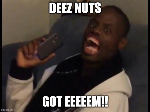 deez nuts | DEEZ NUTS; GOT EEEEEM!! | image tagged in deez nuts | made w/ Imgflip meme maker